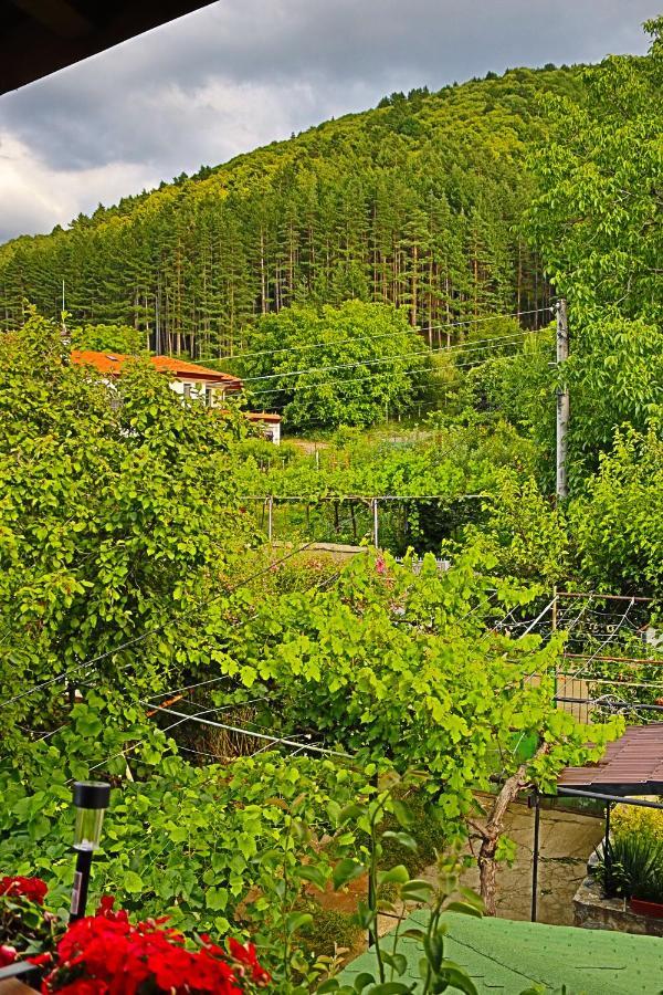 ספרבה בניה Green House - Попниколови מראה חיצוני תמונה